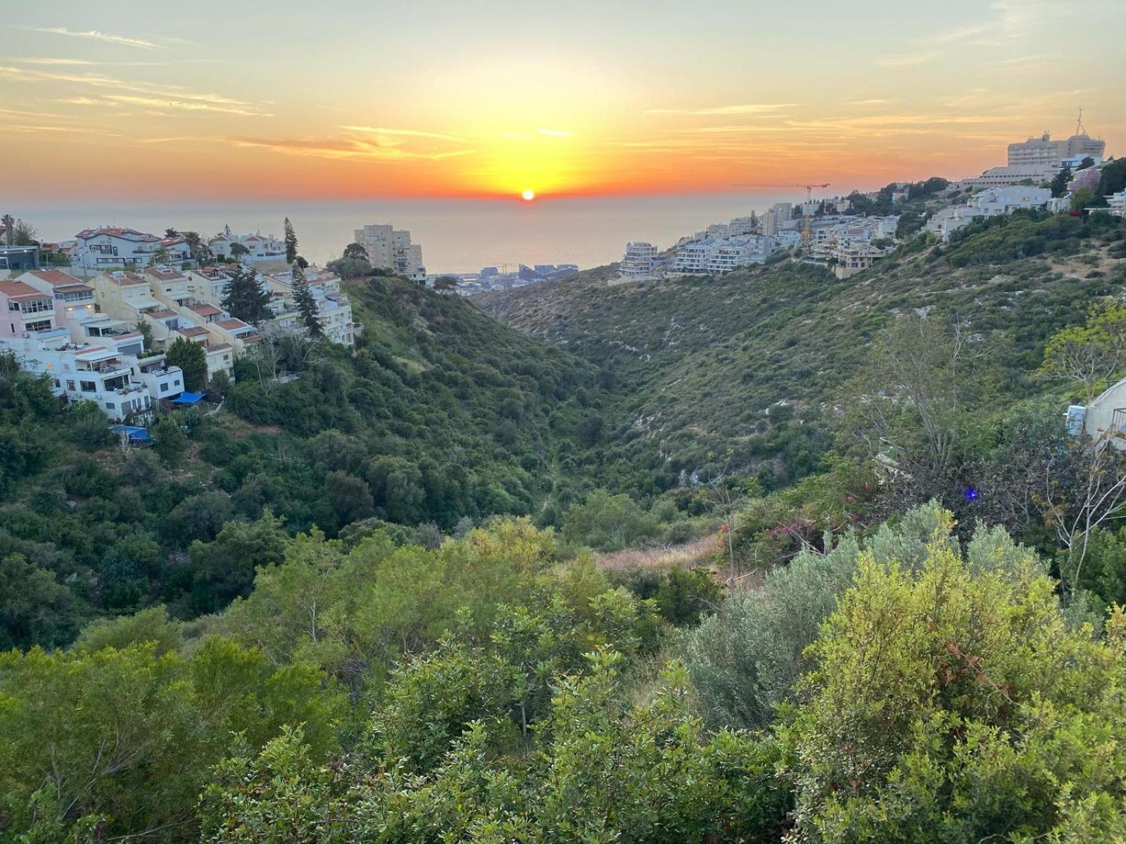 Sea View Carmel Mountain University Haifa Exterior foto